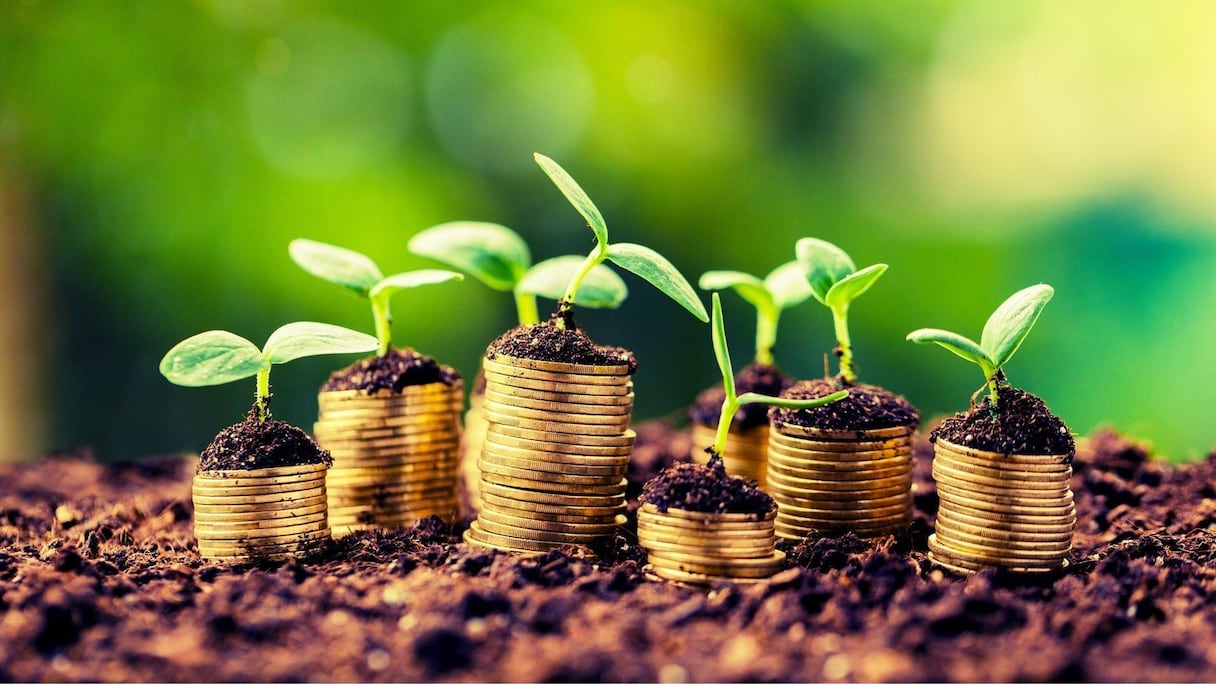 Financement vert. (Photo d'illustration)