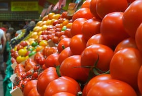 ارتفاع صادرات الطماطم نحو السوق الأوروبية خلال سنة 2022