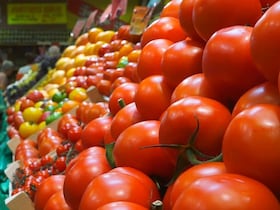 ارتفاع صادرات الطماطم نحو السوق الأوروبية خلال سنة 2022