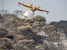 Un bombardier Canadair à l'oeuvre pour éteindre un feu de forêt dans la région de Tanger, le 12 août 2023.