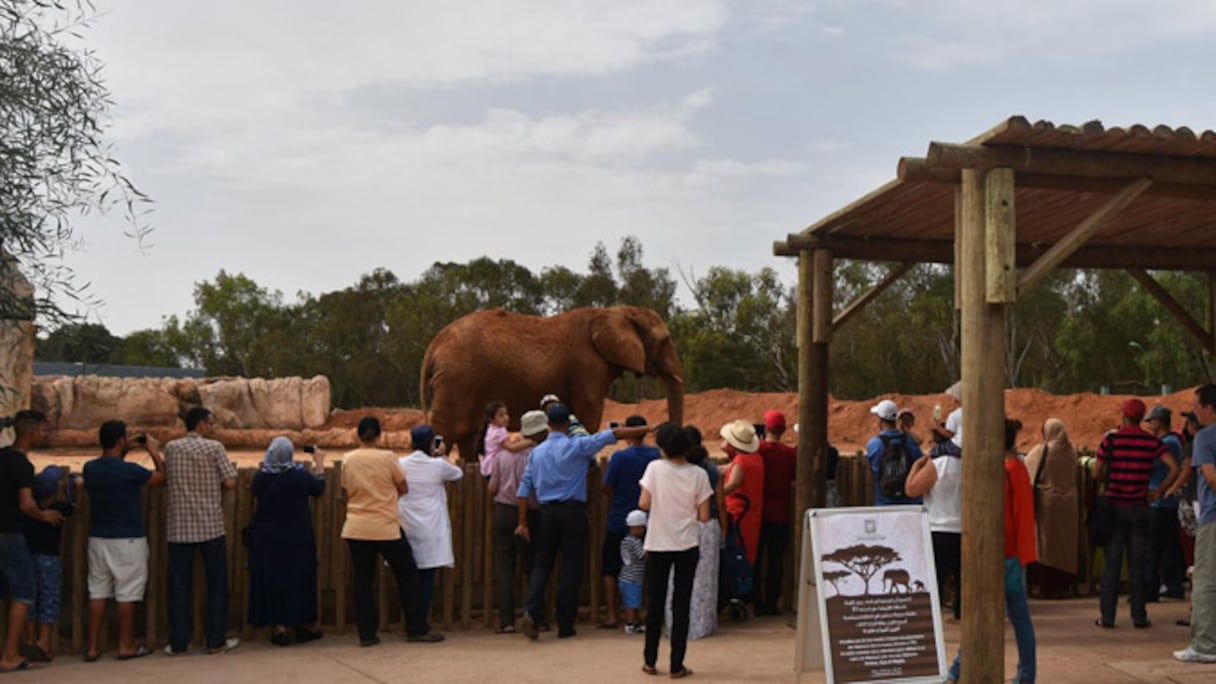 Des visiteurs du Jardin zoologique de Rabat.