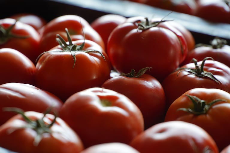 Tomate