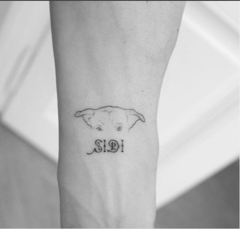 Le tatouage d'Orlando Bloom en hommage à Sidi, son chien adopté au Maroc